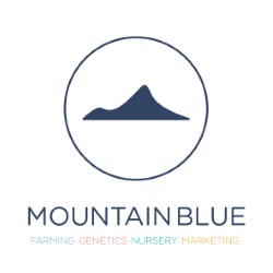 Mountain Blue